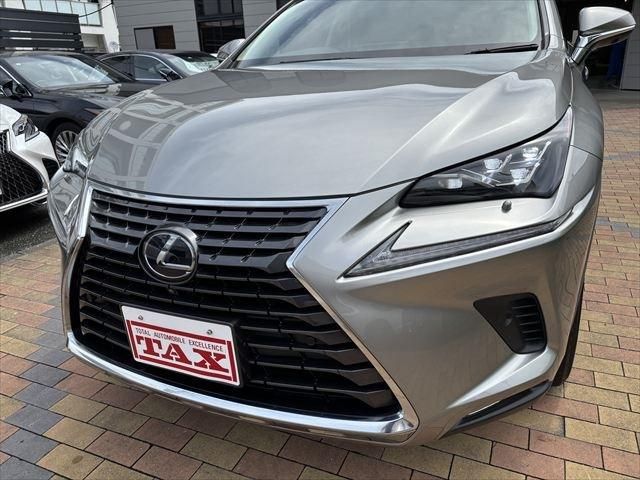 TOYOTA LEXUS NX300h 2018