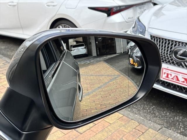 TOYOTA LEXUS NX300h 2018