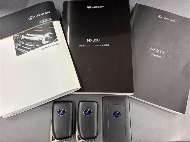 TOYOTA LEXUS NX300h 2018