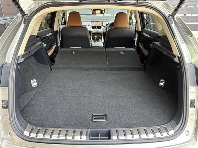 TOYOTA LEXUS NX300h 2018