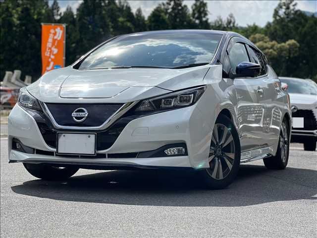 NISSAN LEAF 2019