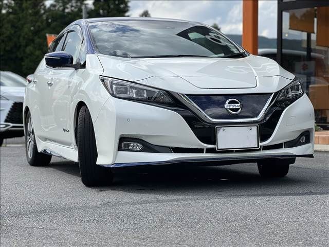 NISSAN LEAF 2019