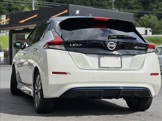 NISSAN LEAF 2019