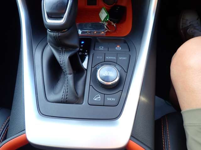 TOYOTA RAV4 4WD 2019