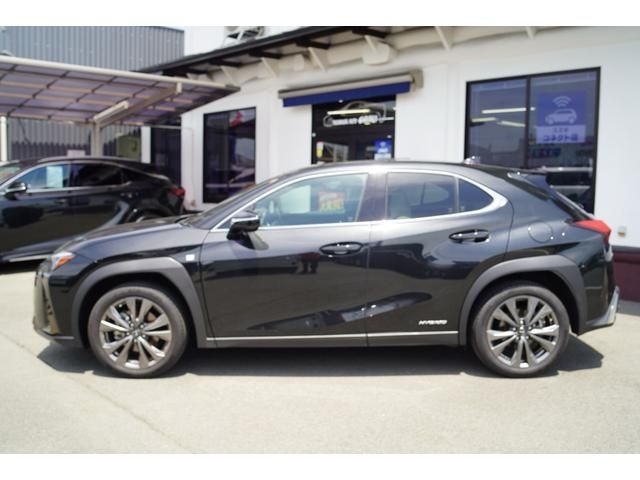 TOYOTA LEXUS UX250h 2021