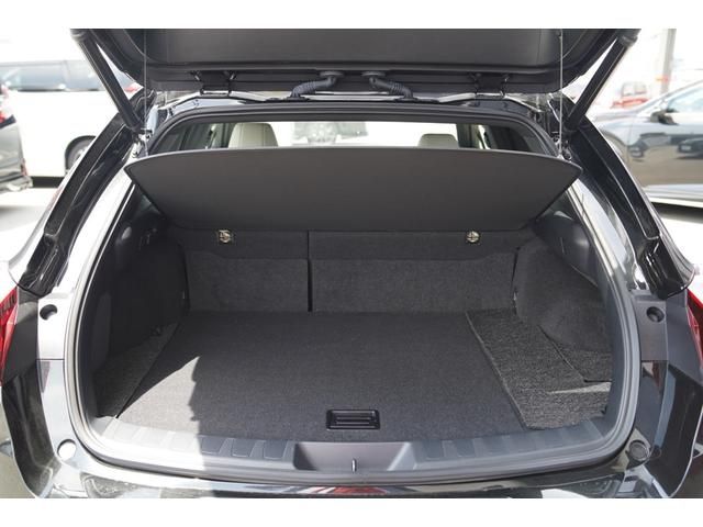 TOYOTA LEXUS UX250h 2021