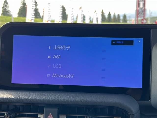 TOYOTA LANDCRUISER 250 2024