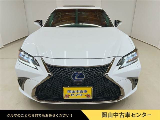 TOYOTA LEXUS ES300h 2020