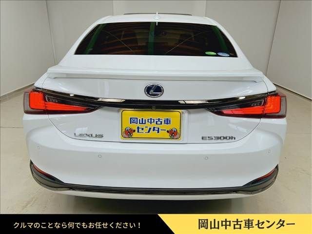 TOYOTA LEXUS ES300h 2020