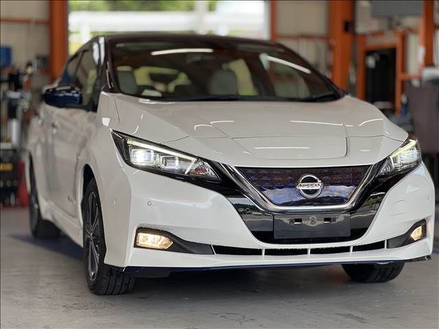 NISSAN LEAF 2019