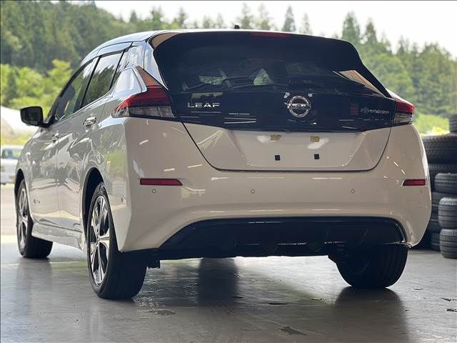 NISSAN LEAF 2019