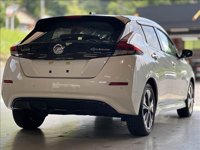 NISSAN LEAF 2019