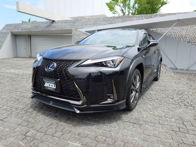 TOYOTA LEXUS UX250h 2020