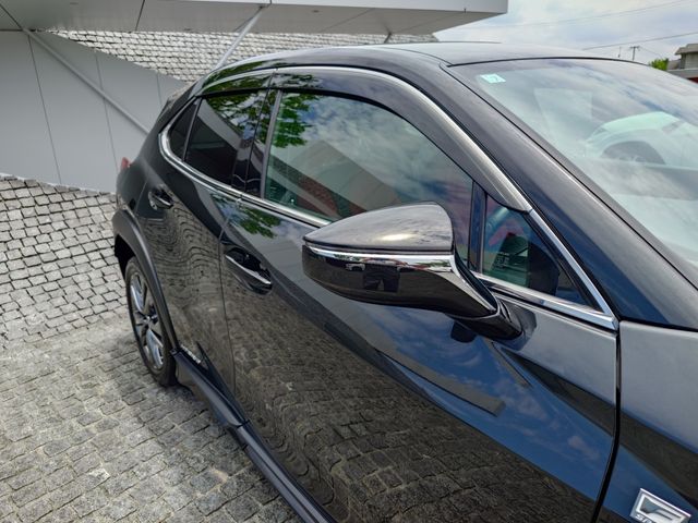 TOYOTA LEXUS UX250h 2020