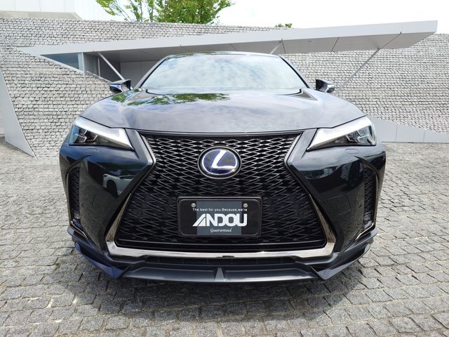 TOYOTA LEXUS UX250h 2020