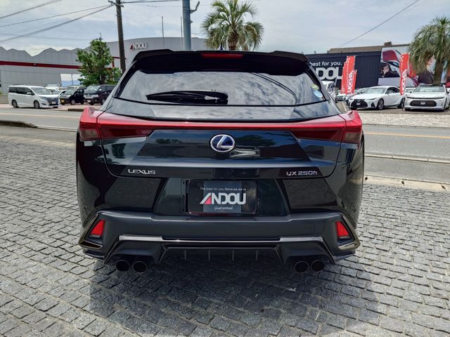 TOYOTA LEXUS UX250h 2020
