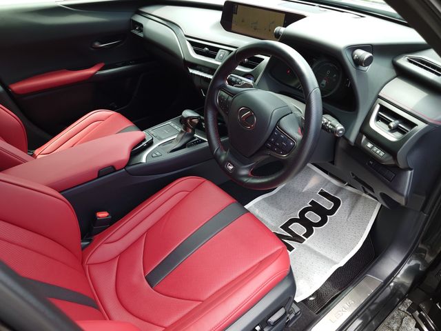 TOYOTA LEXUS UX250h 2020