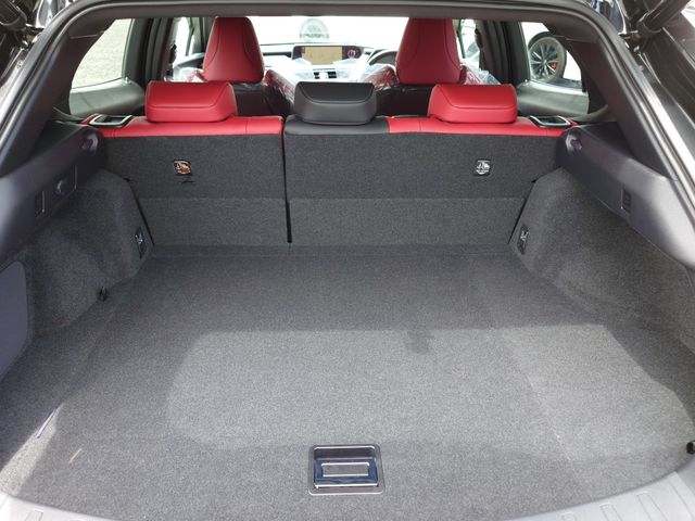 TOYOTA LEXUS UX250h 2020