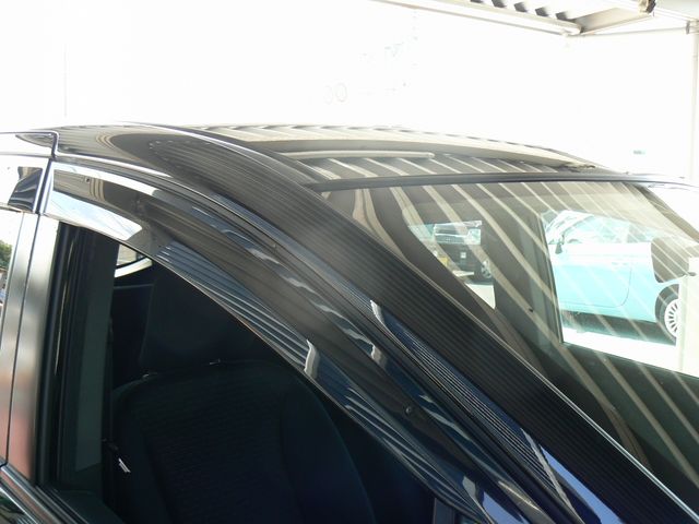 HONDA FREED Spike 2010