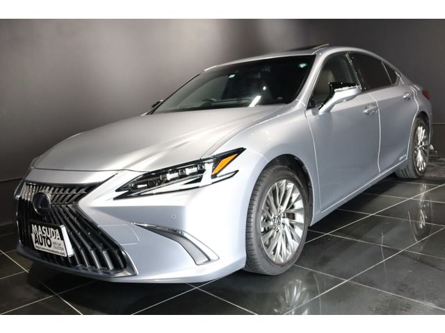 TOYOTA LEXUS ES300h 2022 