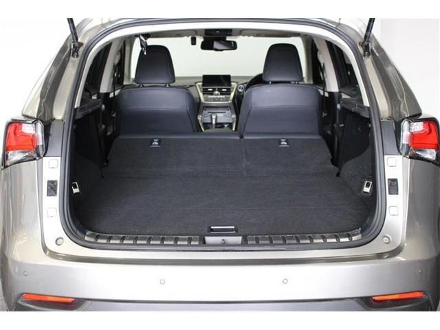 TOYOTA LEXUS NX300h AWD 2015