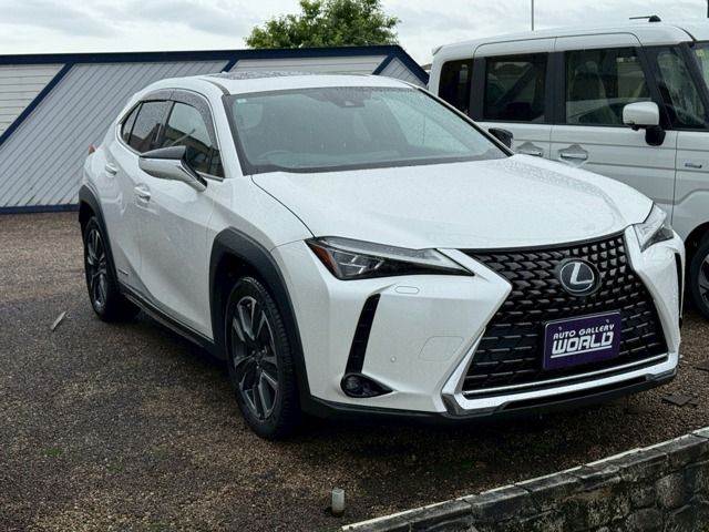 TOYOTA LEXUS UX250h 2019