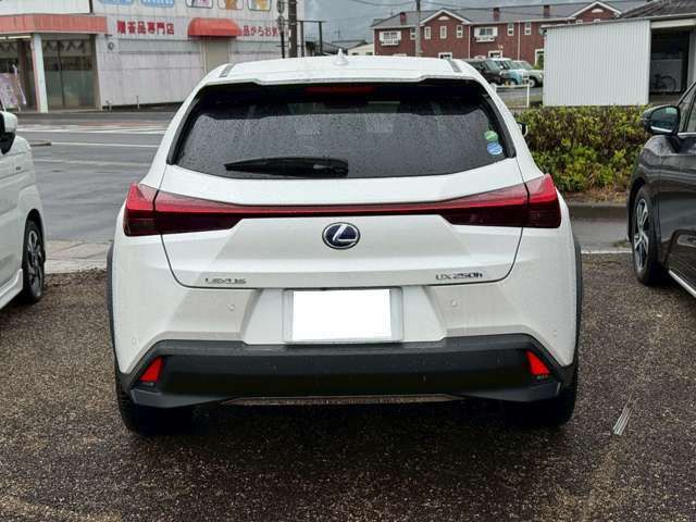 TOYOTA LEXUS UX250h 2019