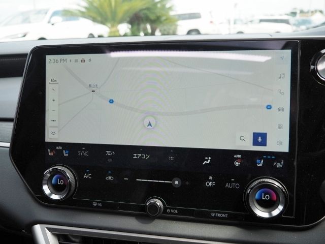 TOYOTA LEXUS RX450h+ 2024