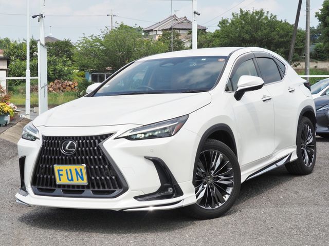 TOYOTA LEXUS NX450h+ AWD 2023