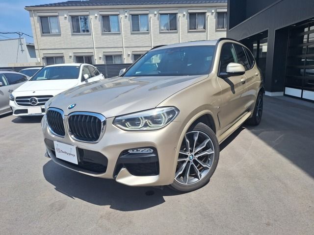 BMW BMW X3 2019