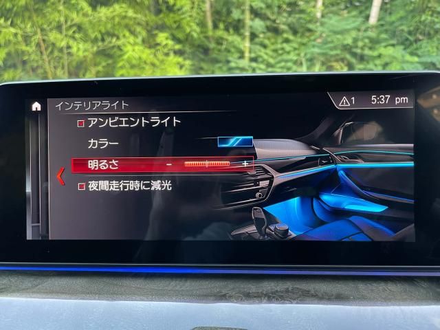 BMW BMW 5series sedan 2020