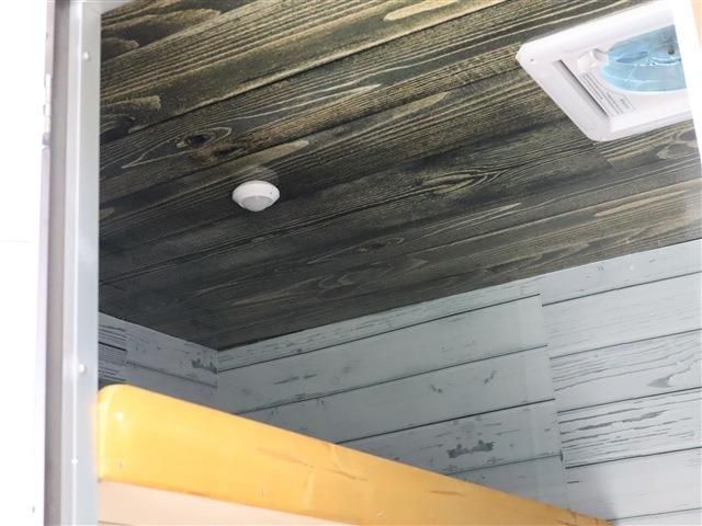 SUZUKI CARRY truck 2024