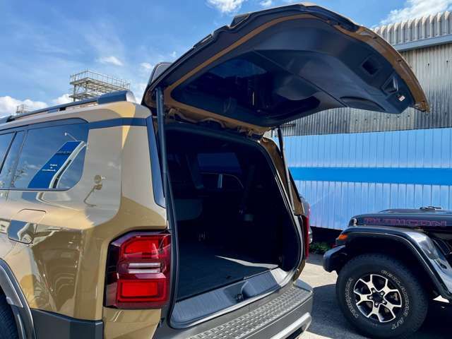 TOYOTA LANDCRUISER 250 2024