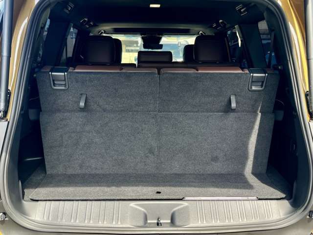 TOYOTA LANDCRUISER 250 2024