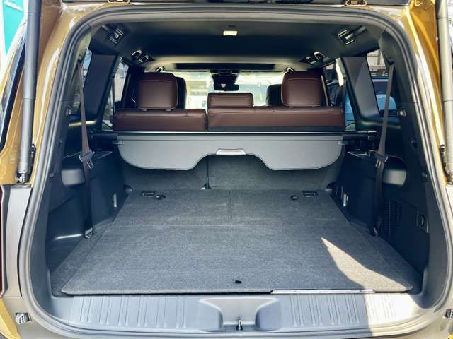 TOYOTA LANDCRUISER 250 2024