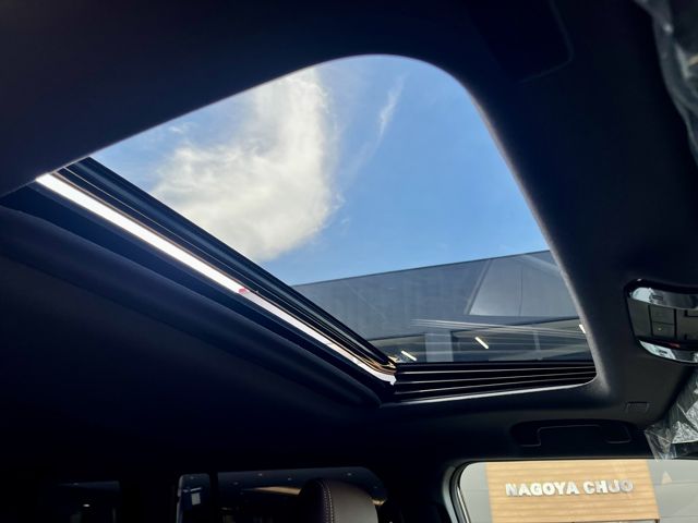 TOYOTA LANDCRUISER 250 2024