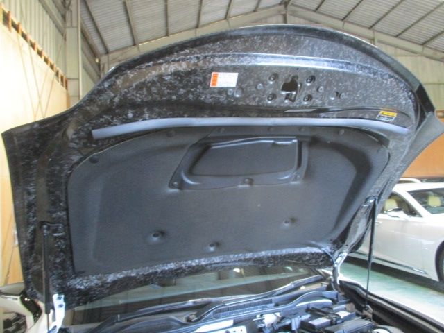 TOYOTA LEXUS RC F 2024