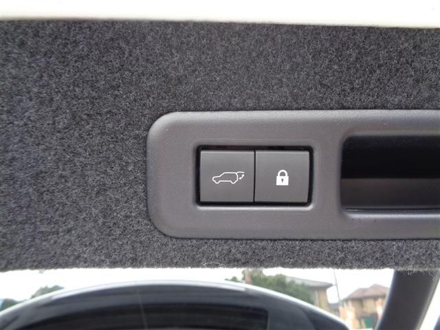 TOYOTA LEXUS RX300 2020