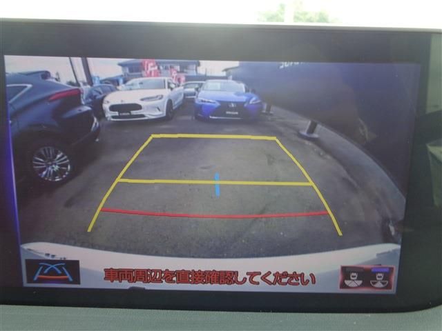 TOYOTA LEXUS RX300 2020