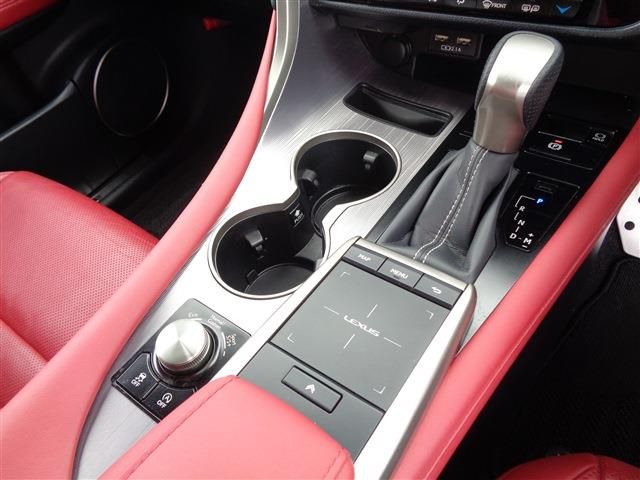 TOYOTA LEXUS RX300 2020