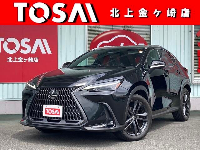 TOYOTA LEXUS NX250 AWD 2023