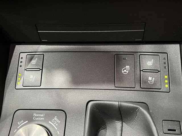 TOYOTA LEXUS IS300h 2022