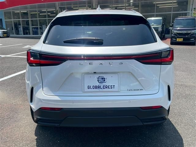 TOYOTA LEXUS NX350h 2024