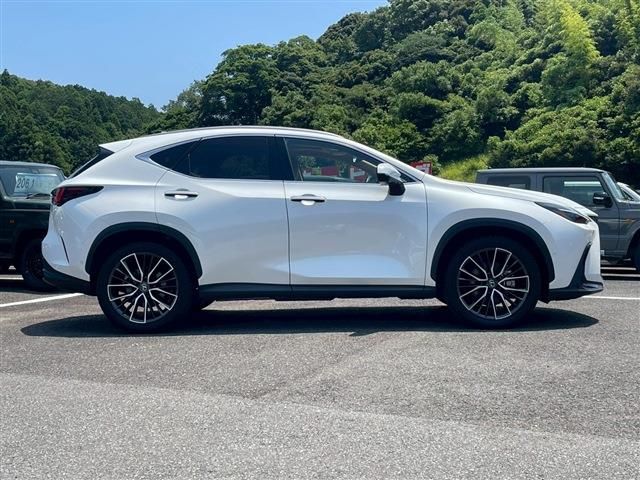 TOYOTA LEXUS NX350h 2024