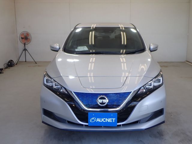 NISSAN LEAF 2020