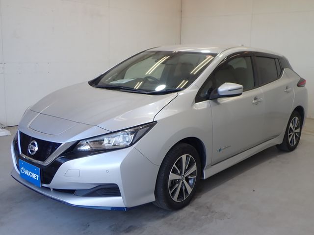 NISSAN LEAF 2020