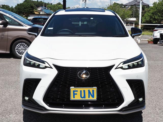 TOYOTA LEXUS NX450h+ AWD 2023