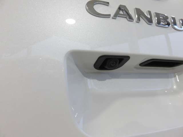 DAIHATSU MOVE canbus 2024