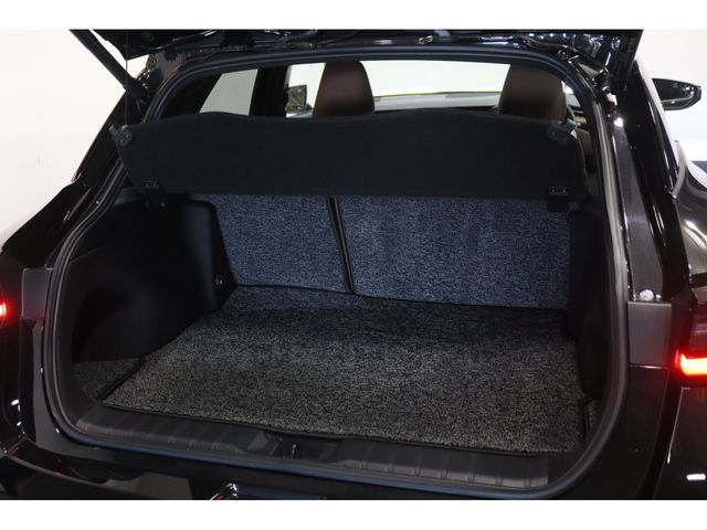 TOYOTA LEXUS LBX 2024