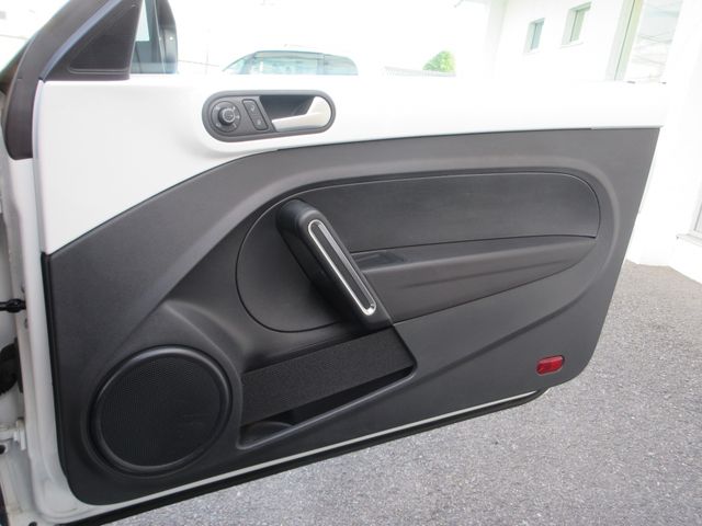 VOLKSWAGEN VOLKSWAGEN The BEETLE 2015